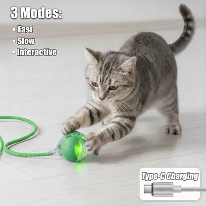 Automated Interactive Cat Toys: Self-Propelling Fun for Active Indoor Cats