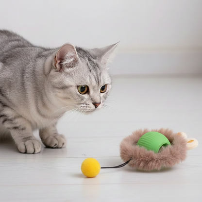 Automated Interactive Cat Toys: Self-Propelling Fun for Active Indoor Cats