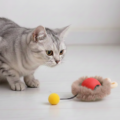 Automated Interactive Cat Toys: Self-Propelling Fun for Active Indoor Cats