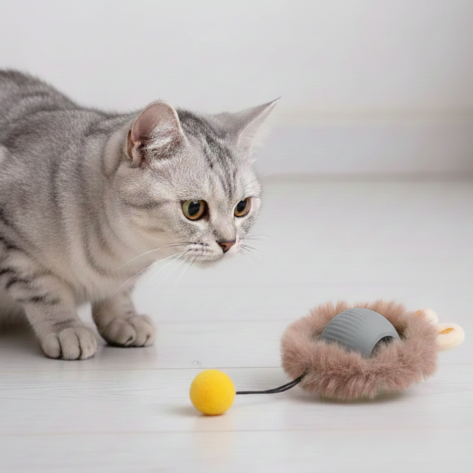 Automated Interactive Cat Toys: Self-Propelling Fun for Active Indoor Cats