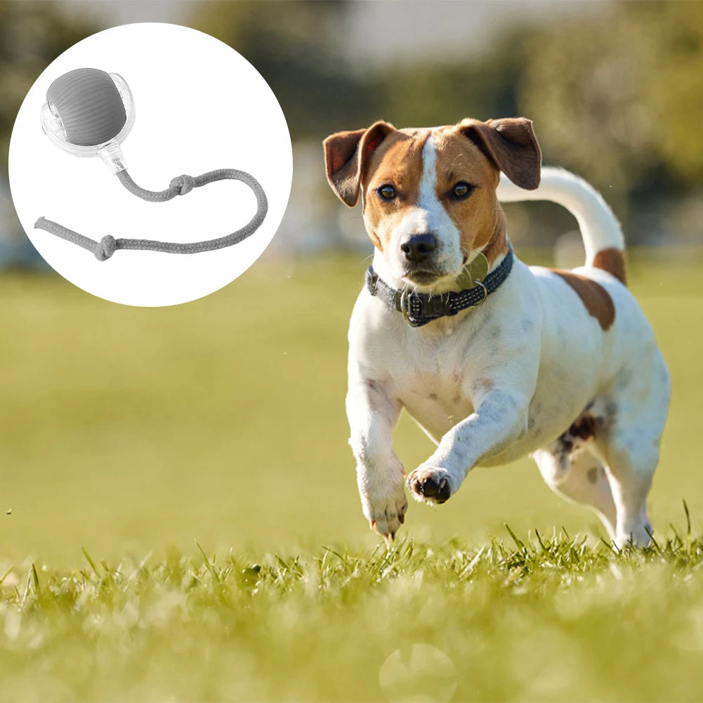 Interactive Rolling Cat Ball – Self-Rotating Rechargeable Toy