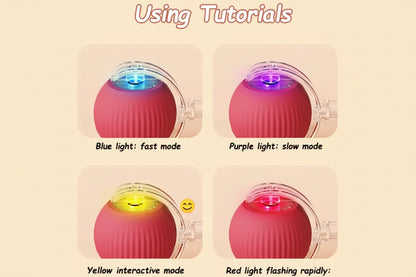 Automated Interactive Cat Toys: Self-Propelling Fun for Active Indoor Cats