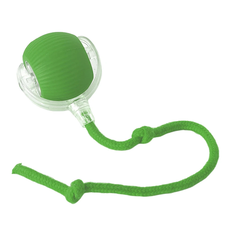 Interactive Rolling Cat Ball – Self-Rotating Rechargeable Toy