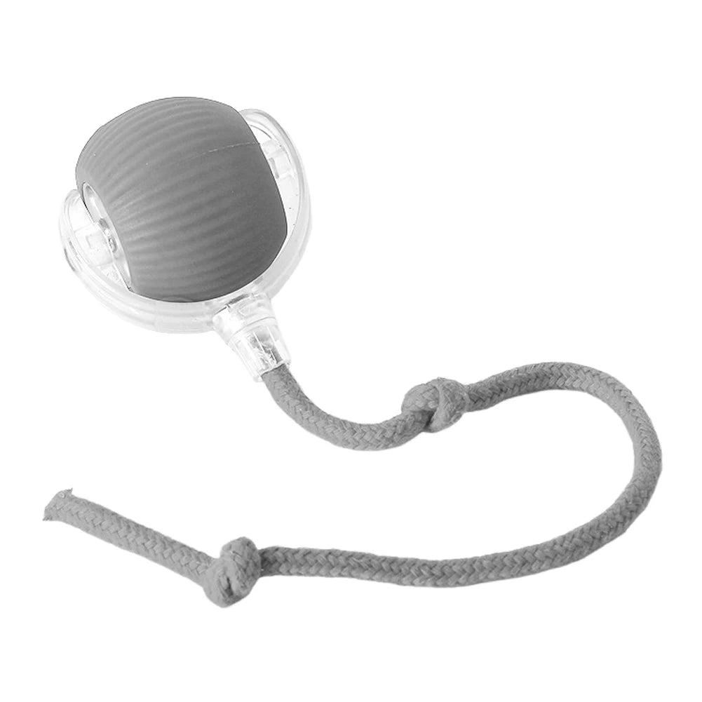 Interactive Rolling Cat Ball – Self-Rotating Rechargeable Toy