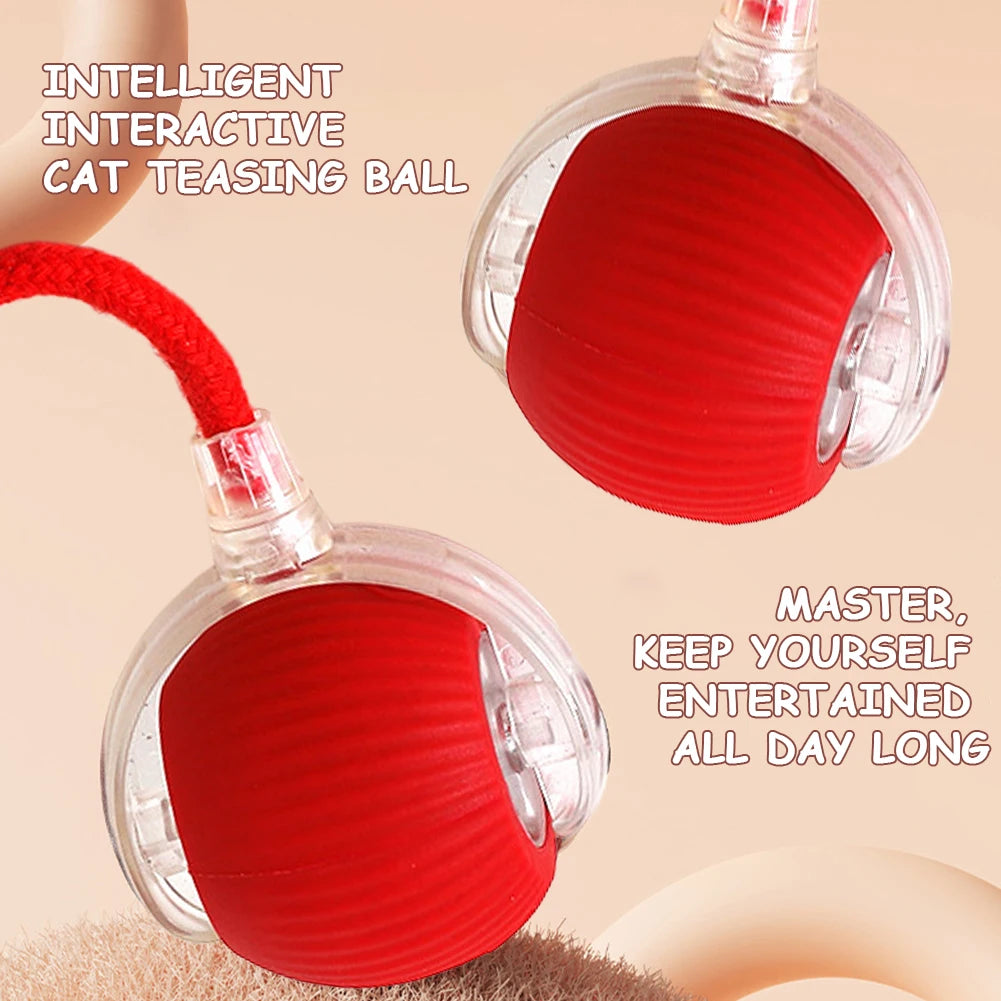 Interactive Rolling Cat Ball – Self-Rotating Rechargeable Toy