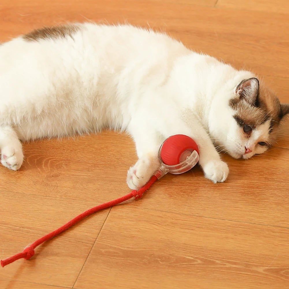 Interactive Rolling Cat Ball – Self-Rotating Rechargeable Toy