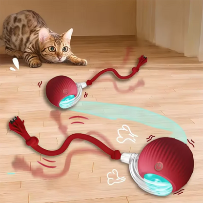 Automated Interactive Cat Toys: Self-Propelling Fun for Active Indoor Cats