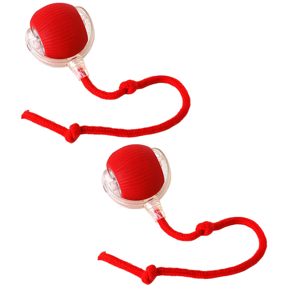 Interactive Rolling Cat Ball – Self-Rotating Rechargeable Toy