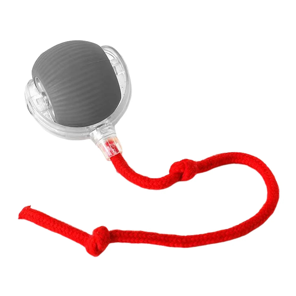 Interactive Rolling Cat Ball – Self-Rotating Rechargeable Toy