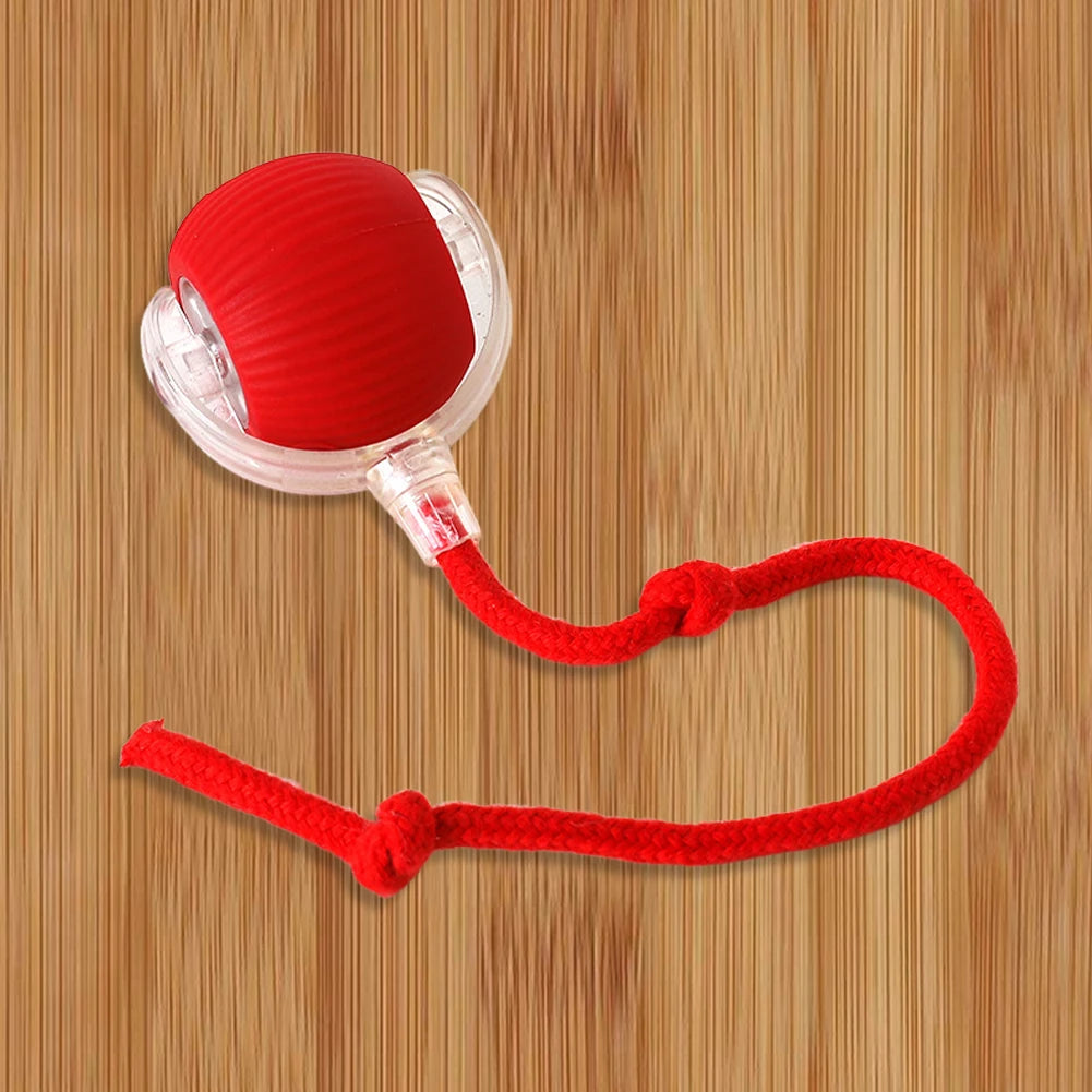 Interactive Rolling Cat Ball – Self-Rotating Rechargeable Toy